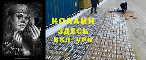 спиды Аркадак