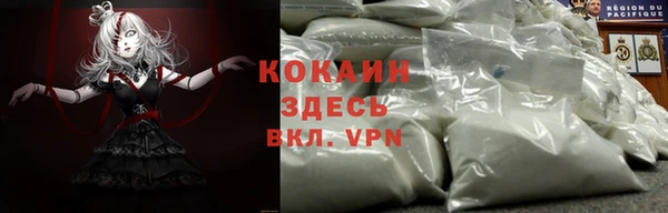 ПСИЛОЦИБИНОВЫЕ ГРИБЫ Сафоново