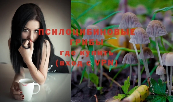 PSILOCYBIN Гусь-Хрустальный
