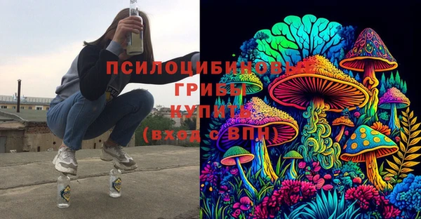 a pvp Гусиноозёрск