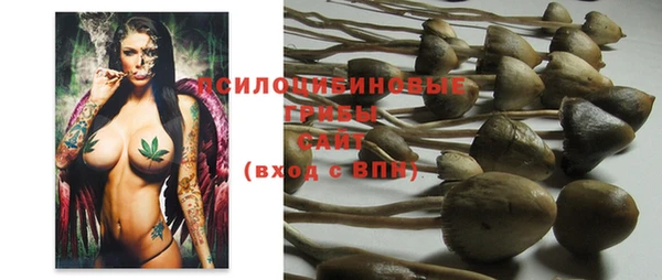прущая мука Сатка