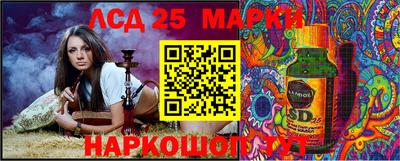 гашик Аргун