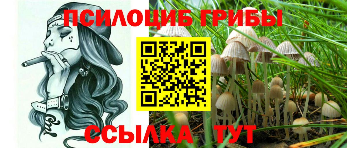 Псилоцибиновые грибы Cubensis Белово