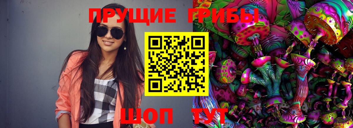 Псилоцибиновые грибы ЛСД  Галлюциногенные грибы Psilocybine cubensis  Белово 