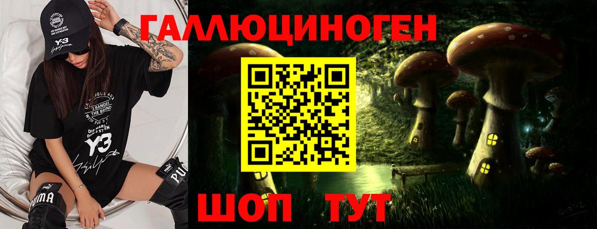 Галлюциногенные грибы мицелий  купить   Белово  Вход с VPN 